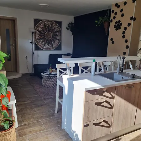 Apartment 235 - 1